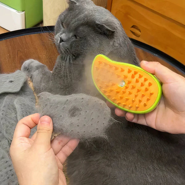 3-In-1 Steaming Pet Brush