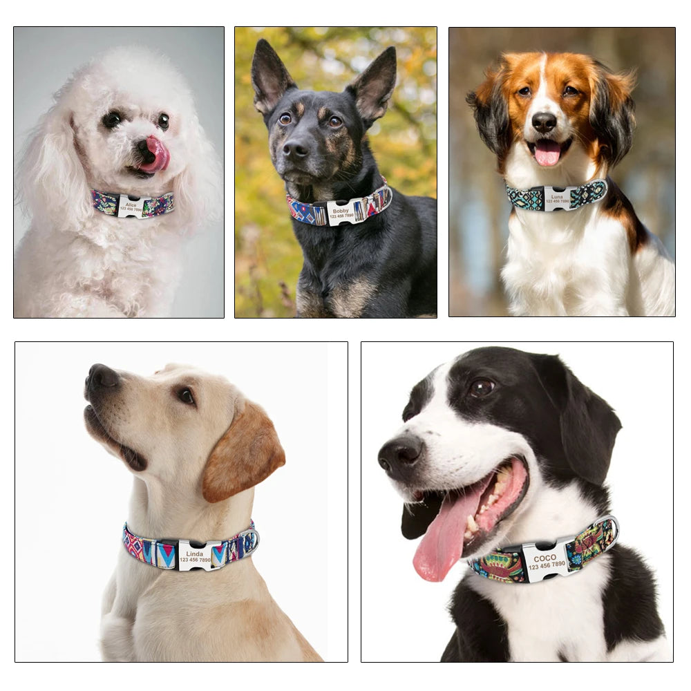 Customizable Dog Tag Collar