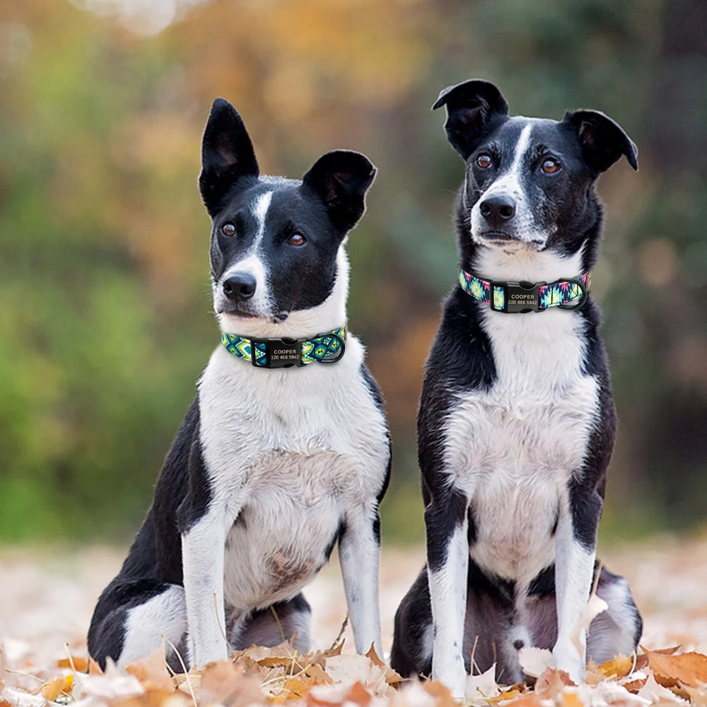 Customizable Dog Tag Collar