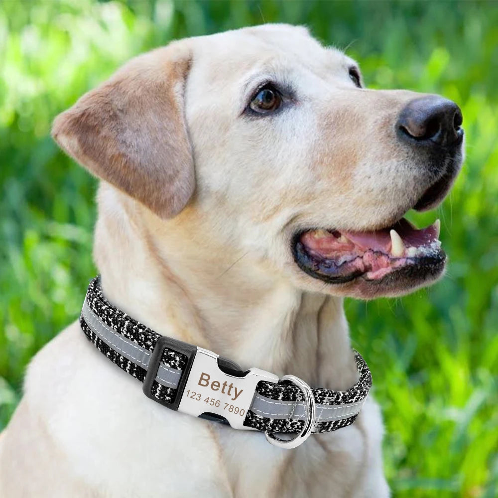 Customizable Dog Tag Collar