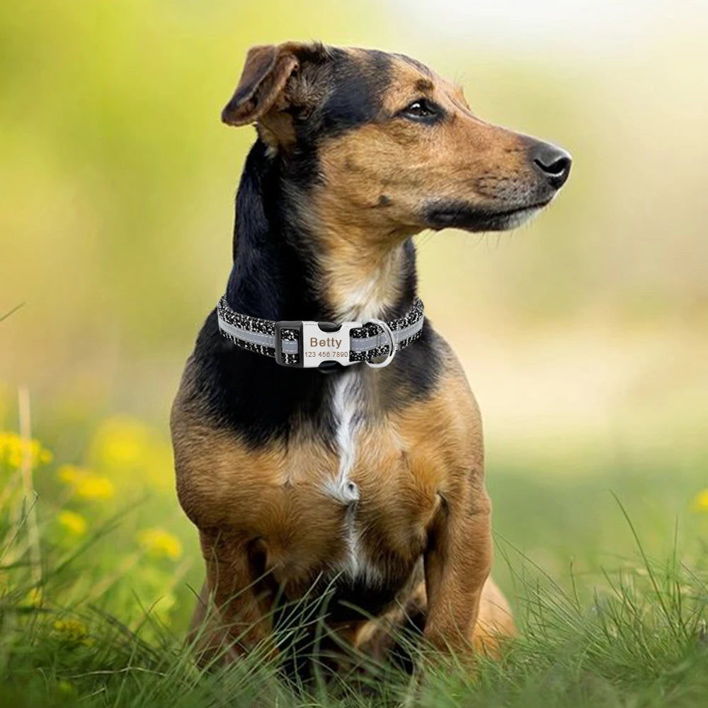 Customizable Dog Tag Collar