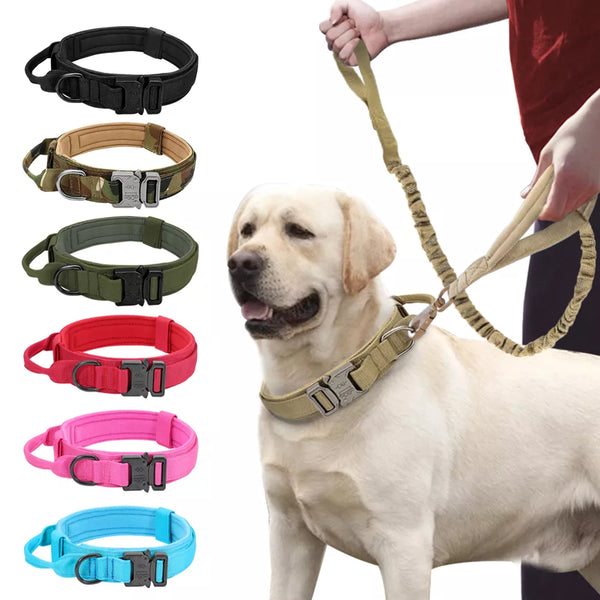 Military Bungee Leash Set