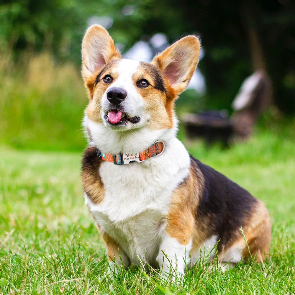 Customizable Dog Tag Collar